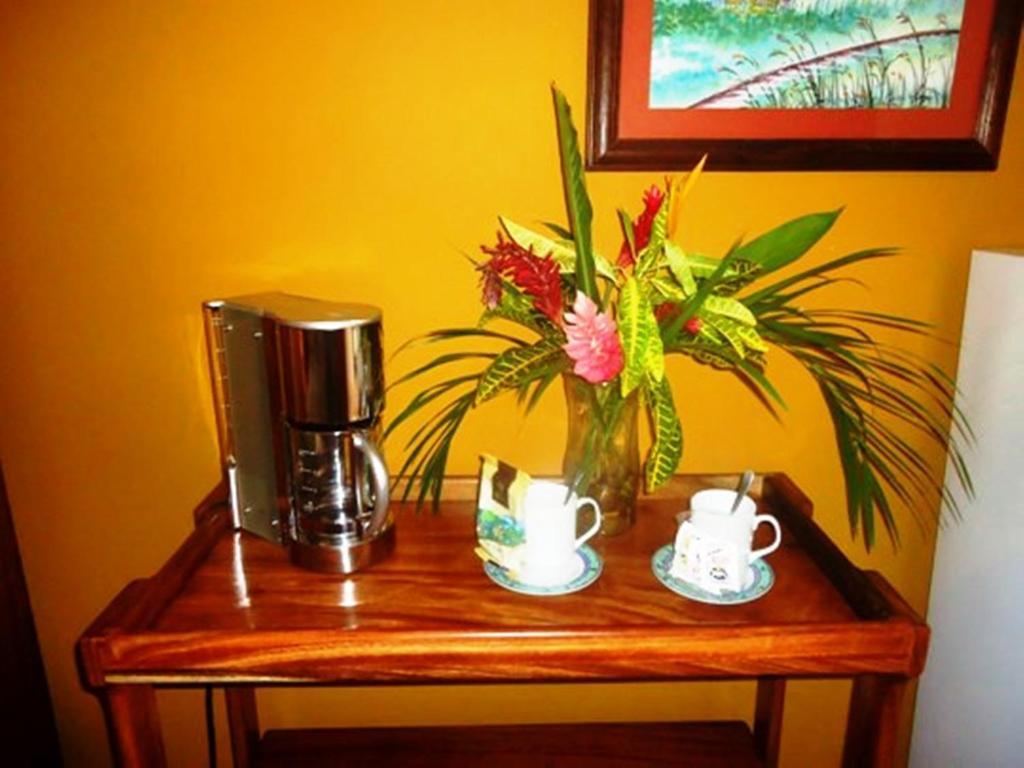 Inn On The Park Manuel Antonio Camera foto